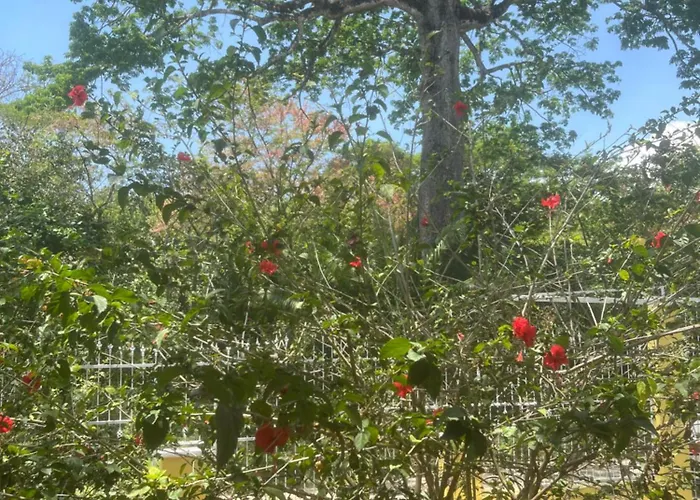 Peaceful And Beautiful Casa Almita Bonita *